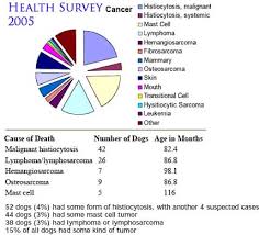 Histiocytic Diseases Of The Bernese Mountain Dog