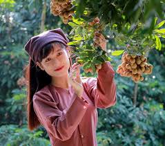 Anh em phía bắc ơi, điểm danh nào!!!! Cac Loáº¡i Trai Cay Ä'áº·c Sáº£n Miá»n Báº¯c Danh Sach Trai Ngon Quáº£ Ngá»t