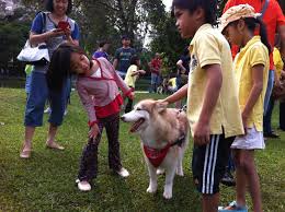 I am a cat person… but i had a dog once. I Want To Touch A Dog Cilisos Current Issues Tambah Pedas