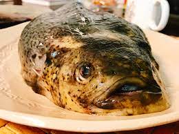 捌いてみるシリーズ】北海道名物ゴッコを簡単に食べてみた | 愛 love fish!!
