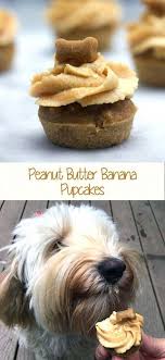 Panoramic Dog Training Roll Over Doggyjail Dogcostumesforlabs Homemade Dog Food Dog Biscuit Recipes Peanut Butter For Dogs