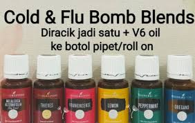 Tidak lupa, kami juga akan memberi rekomendasi produk dari merek terkemuka, seperti young living, nusaroma, happy green, dan lainnya. Khasiat Ampuh Young Living Untuk Flu Batuk Dan Pilek