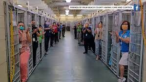 Congress ave, boynton beach, fl 33426. Amid More Pet Adoptions This Dog Pound Is Empty For The First Time Ever