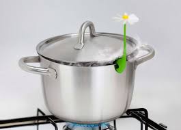 coolest kitchen gadgets for food lovers