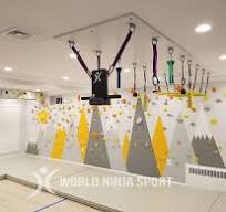 Indoor Ninja Courses | World Ninja Sport