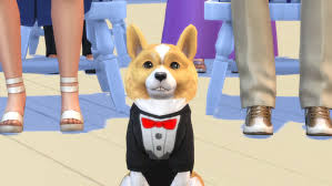 It only makes sense, then, that we want to provide the. Create The Most Unique Pets With Create A Pet