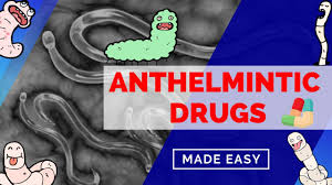 Oral dosage form new animal drugs. Anthelmintic Drugs Pharmacology Albendazole Pyrantel Praziquantel Ivermectin Niclosamide Youtube