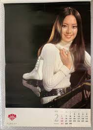 松竹カレンダー新藤恵美 美しきチャレンジャー岩下志麻 倍賞美津子 由美かおる 尾崎奈々 榊原るみ 小川ひろみ 范文雀 倍賞千恵子 香山美子 - 印刷物