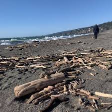 GUALALA POINT REGIONAL PARK - 84 Photos & 41 Reviews - 42401 Coast Hwy 1,  Gualala, CA - Yelp