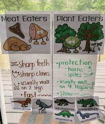 Dinosaurs Herbivores Carnivores Dinosaur Activities Preschool Herbivore And Carnivore Dinosaurs Preschool
