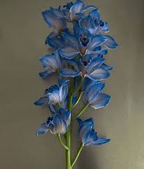 #art #twitter headers #aesthetic twitter headers #aesthetic #aesthetic headers #david bowie quote #flowers #floral drawing #flower drawing #dreamy aesthetic #randomcore #dreamcore #dreamycore #randomcore headers #randomcore twitter headers #art headers #art. Tumblr Is A Place To Express Yourself Discover Yourself And Bond Over The Stuff You Love It S Where Your Int Flower Aesthetic Beautiful Flowers Blue Flowers