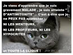 Fuyez Les Hypocrites Les Hypocrites Citations A Propos Des Hypocrites Citation Hypocrisie