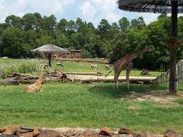 Pin On This Is My Town Tyler Texas