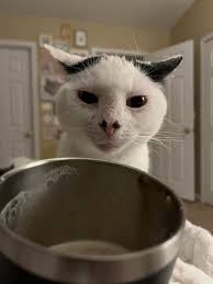 Departures People watching Sat, waiting in an airport lounge travellers,  departing leaning against a wall of sound There's Mr and Mrs Frequent  Flyers Assured, delays will not impede, Military style precision planning.