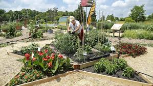 Share your videos with friends, family, and the world Community Gardens Fear For A Future Without Water