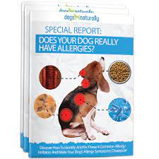 Itchy Dog Try These Shampoos And Topical Solutions Dog Allergies Dog Itching Dog Itching Remedies