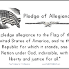 What is the pledge of allegiance? Https Encrypted Tbn0 Gstatic Com Images Q Tbn And9gcrw47udtlkpf8sn Rd7nr90qw9dvyey6fftjncsauz1thzvtcre Usqp Cau