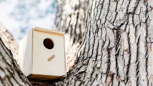 If you are using a hand saw, after. 27 Free Diy Birdhouse Plans You Can Build Today