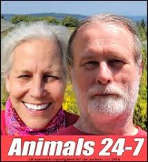 Horsemeat, dog meat, & how "angel" Marc Ching fell from grace due to  questionable videos and rescue claims in China and elsewhere in Asia.