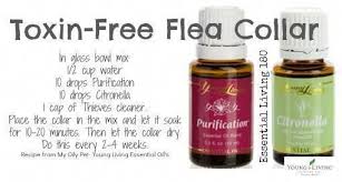 Essential Oils For Animals Essential Oils For Fleas Living Essentials Oils Young Living Oils Recipes