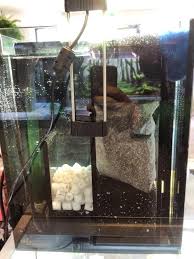 Https Www Pinterest Com Heritagesmrd Aquascape Planted Aquarium Aquascape Tropical Fish