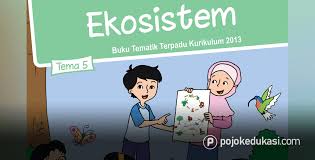 Lengkap Kunci Jawaban Tema 5 Kelas 5 Buku Siswa Tematik Kurikulum 2013 Revisi Pojok Edukasi