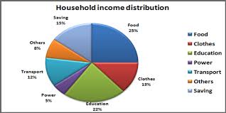 ielts writing task 1 how to write single pie chart with