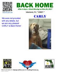 Martinez , she started vet to pet on 2009, as a house call company, serving the miami area with an excellent we open the first vet to pet animal clinic in hialeah, and a second location in miami area and recently added a third location by sunset/kendall area. Lost Dogs Florida Lostdogsflorida Profile Pinterest