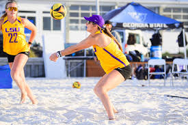 Image result for Deverra burchellii