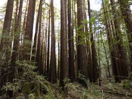 We did not find results for: Rv Guide To California S National Parks Alice S Adventures Adventure Tourism