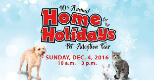 (irvine ) hide this posting restore restore. 10th Annual Home For The Holidays Pet Adoption Fair City Of Irvine