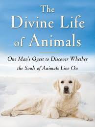Where Does Fido Go When He Dies Heaven Book Pet Grief Pet Poems
