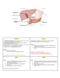 The best treatment for painful gallstones is surgery to remove your gallbladder. Brunner Biliary Tract Disorder Cholecystitis Pancreatitis Hepatitis Gallbladder Cholelithiasis Gallstones Obstructing The Cystic And Or Common Bile Ducts Studocu