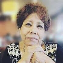 Yolanda Sanchez's Instagram, Twitter & Facebook