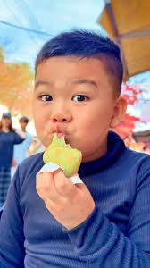 Trying The Best Mochi In Japan . , Nakatanidou Mochi , #Nara #Japan #mochi