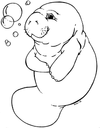 Manatee Manatee Coloring Pages Drawings