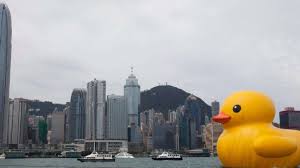 Contact us log out my account. Mega Gummiente In Hongkong Unterwegs Panorama