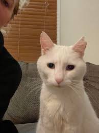 HIGH RISK YOUTH Missing in Vancouver 16 years old needs medication for her  epilepsy !