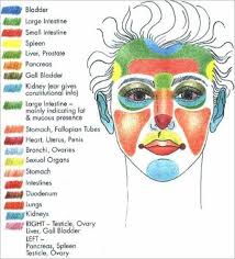 An Interesting Diagram That Shows What Can Cause Acne On