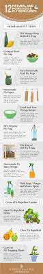 How To Get Rid Of Flies 13 Natural And Homemade Fly Repellents Fly Repellant Homemade Fly Spray Get Rid Of Flies