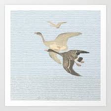 Nothing To Match The Flight Of Wild Birds Flying Art Print By Anipani X Small Birds Flying Wild Birds Art Prints