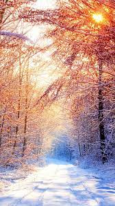 Perfect screen background display for desktop, iphone, pc, laptop, computer, android phone, smartphone, imac, macbook, tablet, mobile device. Snow Trees Winter Morning 4k Ultra Hd Mobile Wallpaper Iphone Wallpaper Winter Winter Wallpaper Winter Scenes