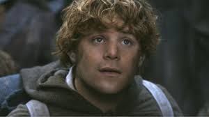 Lord Of The Rings fans finally realise why Sam wasn't tempted by The Ring