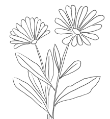 I disegni solo esclusivamente fatti solo e solamente da me (giulia alvarado) se condividete le mie immagini , taggatemi grazie ��. Psicomamme Genitorialita Consapevolezza E Creativita Disegni Naturalistici