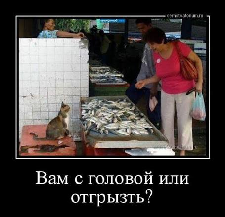 images?q=tbn:ANd9GcQEfFRpvzO5vEEfuI_-ywm