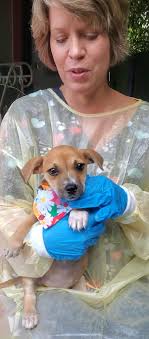 Rescue Charlie's Friends added...