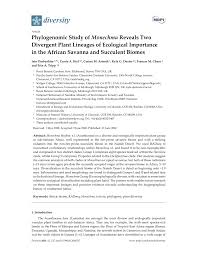 Image result for Pogonospermum attenuifolium