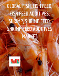 Global Fish Fish Feed Fish Feed Additives Shrimp Shrimp Feed Shrimp Feed Additives Market Fish Feed Feeding Fish