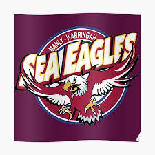 The team colours are maroon and white, while their namesake and logo is the sea eagle. Manly Sea Eagles Posters Redbubble