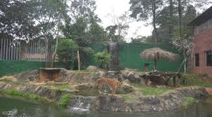 The zoo houses more than 200 species of wildlife including the critically endangered sumatran rhinoceros and asian elephant in an open, lush and. Melaka Zoo Admission Ticket In Melaka Malaysia Klook Malaysia